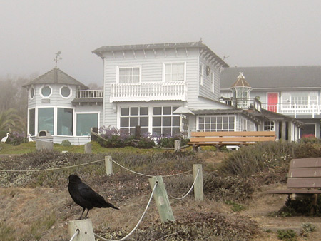 sea-chest-1